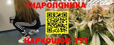 дживик Заводоуковск
