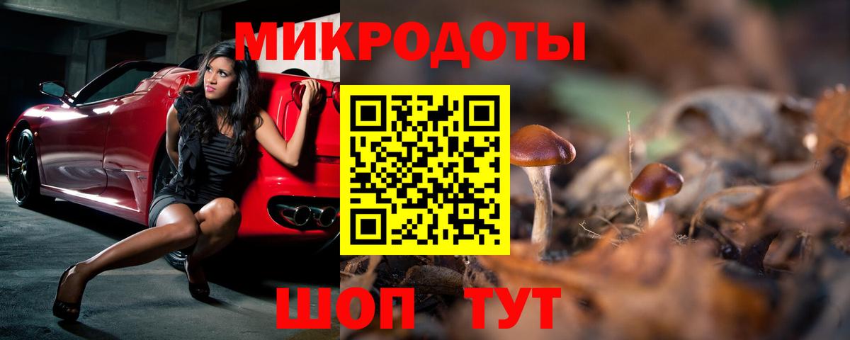 Озёры  Галлюциногенные грибы Cubensis  Вход с VPN  Псилоцибиновые грибы Psilocybine cubensis 